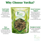 Yuvika Gurmar Leaves - Gudmar Leaves - Gymnema Sylvestre - Periploca Of The Woods | Grocsy