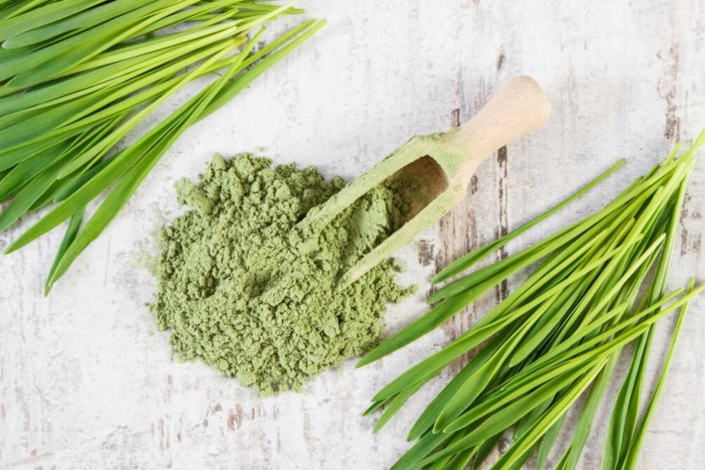 24 Mantra Organic Wheat Grass Powder | Grocsy