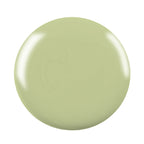 Swiss Beauty Professional UV Gel Nail Polish - Shade-20 | Grocsy