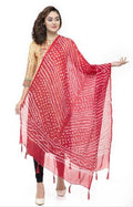 A R Silk Women's Silk Jaipuri Print Red Regular Dupatta | Grocsy