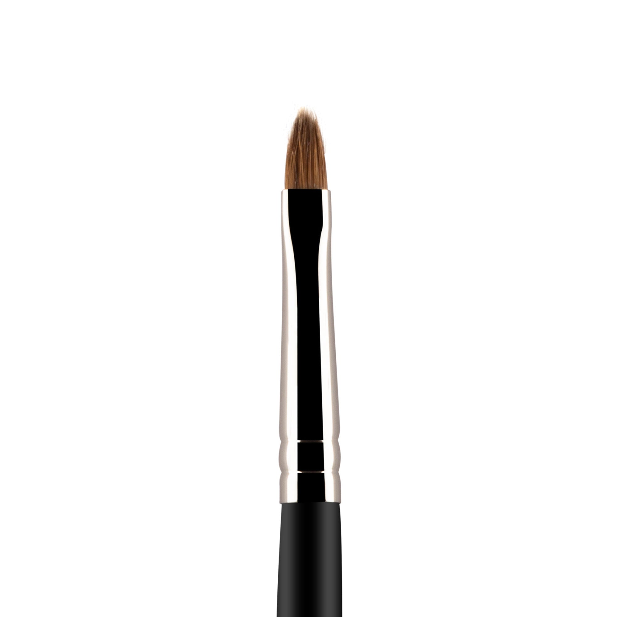 PAC Studio Lip Brush - 366 | Grocsy