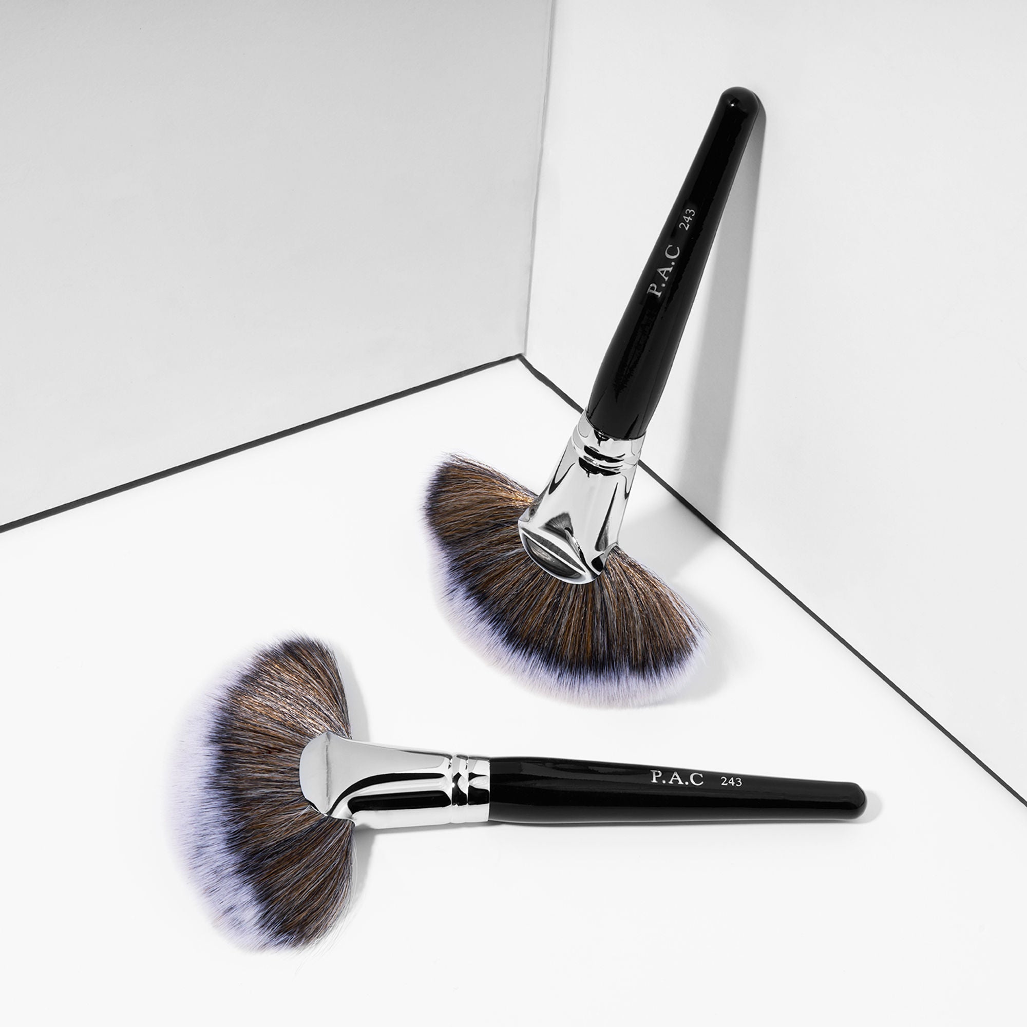 PAC Studio Fan Brush - 243 | Grocsy
