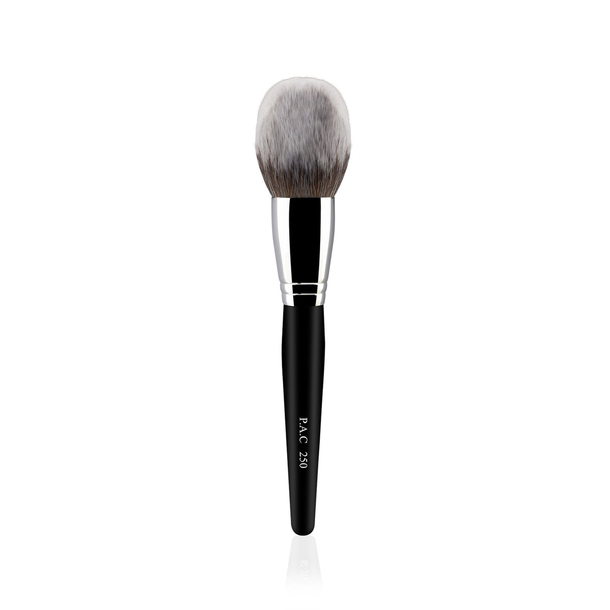 PAC Studio Powder Brush - 250 | Grocsy
