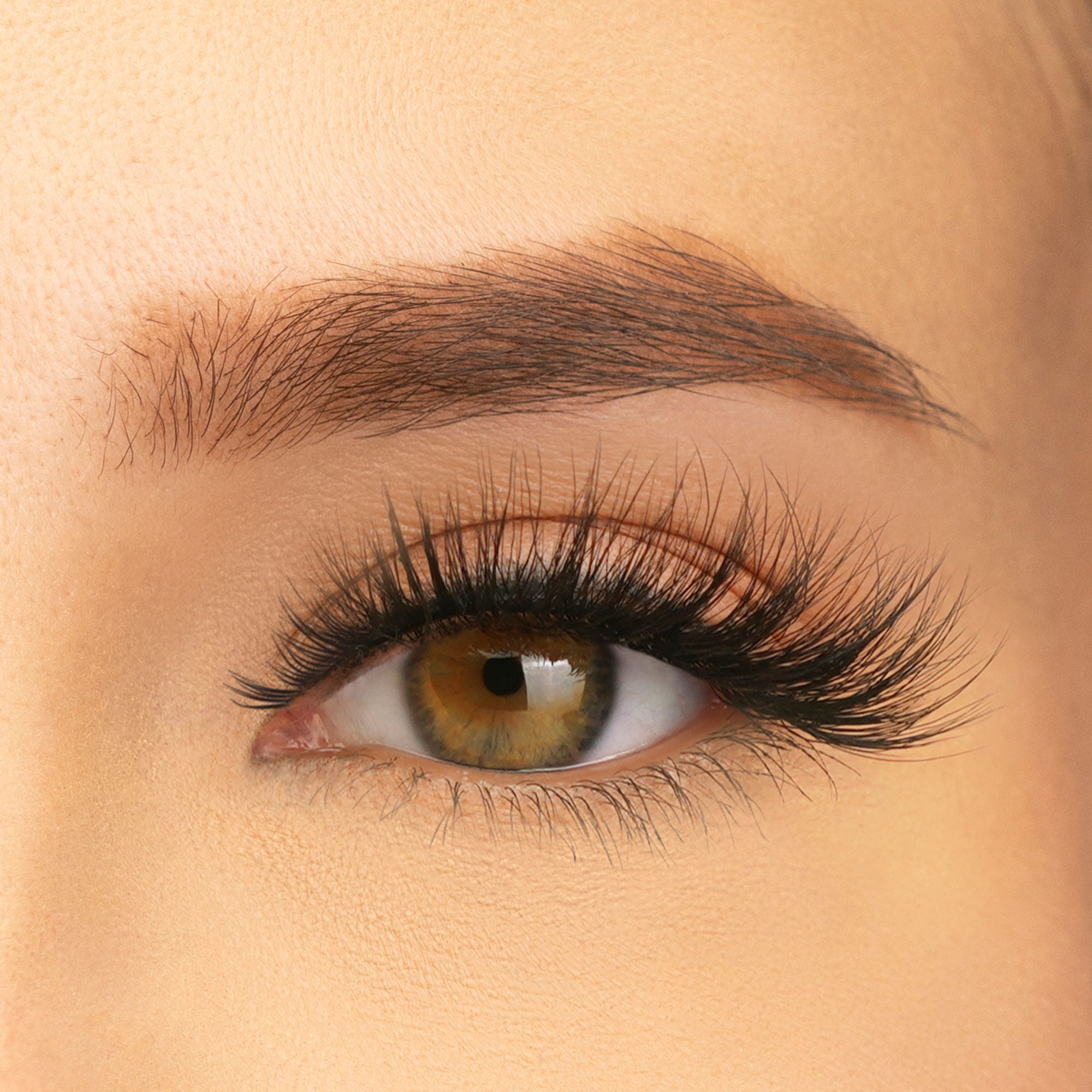 PAC Studio Ace Of Lashes - Full House | Grocsy