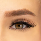 PAC Studio Ace Of Lashes - Dealer | Grocsy