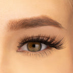 PAC Studio Ace Of Lashes - Quads | Grocsy