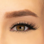 PAC Studio Ace Of Lashes - Trips | Grocsy