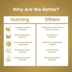 Nutriorg Aloevera Kiwi Juice | Grocsy