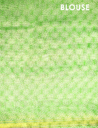 Fern Green Colour Floral Print Semi Chanderi Saree By Gayathri Reddy Designer Studio | Grocsy