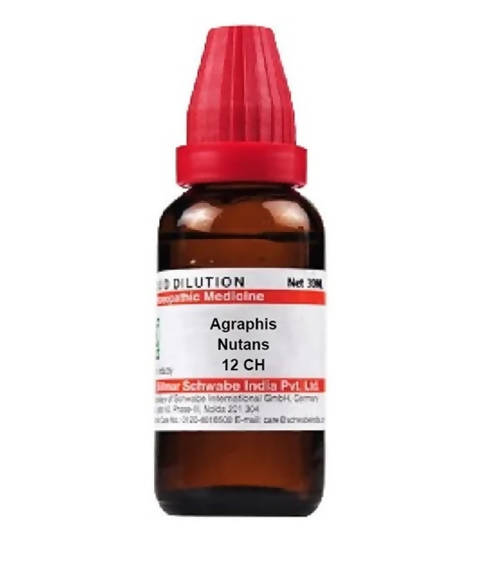 Dr. Willmar Schwabe India Agraphis Nutans Dilution | Grocsy