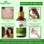 Nature Glow Herbal Basil Essential Oil | Grocsy