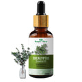 Nature Glow Herbal Eucalyptus Essential Oil | Grocsy