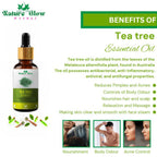 Nature Glow Herbal Nature Tea Tree Essential Oil | Grocsy