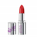 Lotus Makeup Ecostay Butter Matte Lip Color Mandarin Madness (4 Gm) | Grocsy