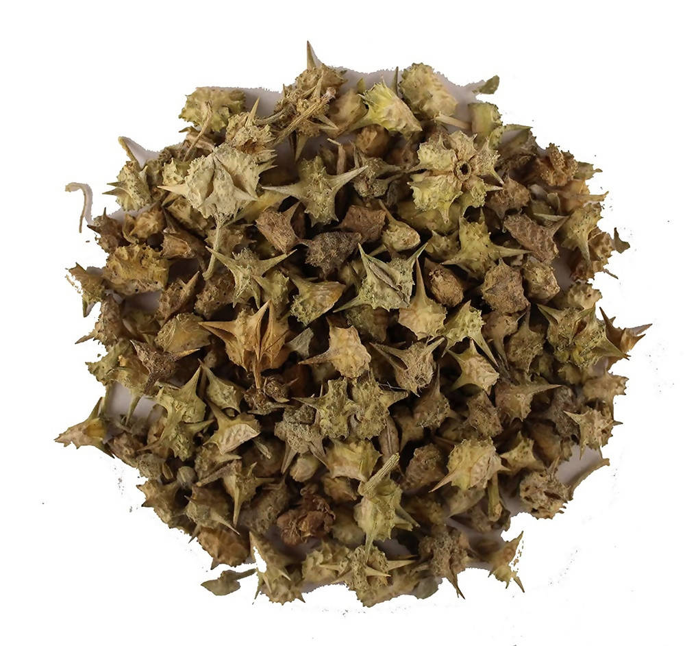 Dark Forest Urine Tonic Range Combo | Grocsy