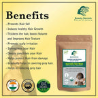 Beauty Secrets Ayurvedic Hair Mask | Grocsy