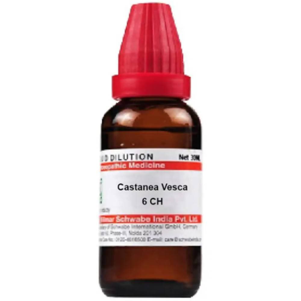 Dr. Willmar Schwabe India Castanea Vesca Dilution | Grocsy