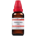 Dr. Willmar Schwabe India Castanea Vesca Dilution | Grocsy
