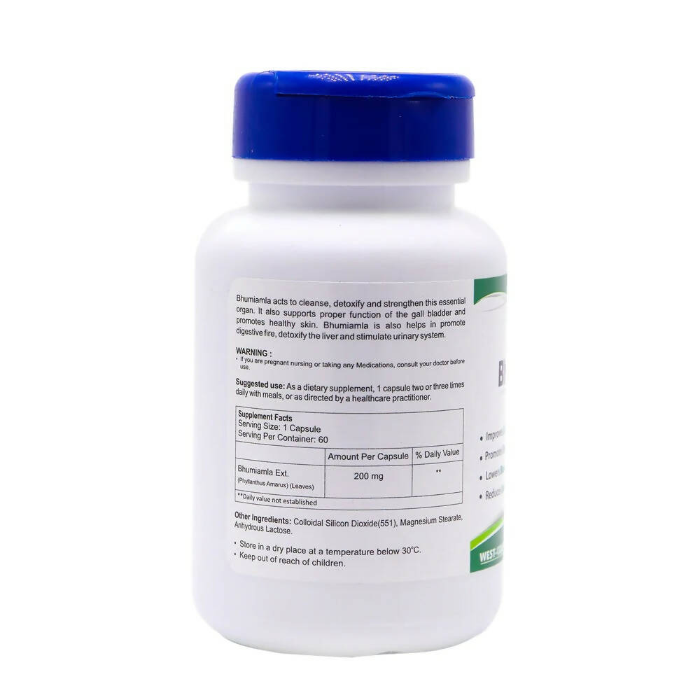 Healthvit Bhumiamla Capsules | Grocsy
