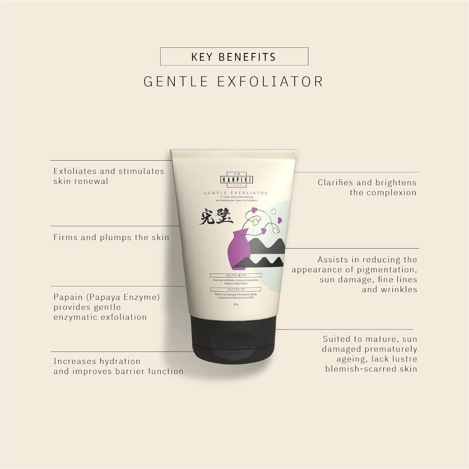 Kanpeki Labs – Gentle Facial Exfoliator/Scurb | Grocsy