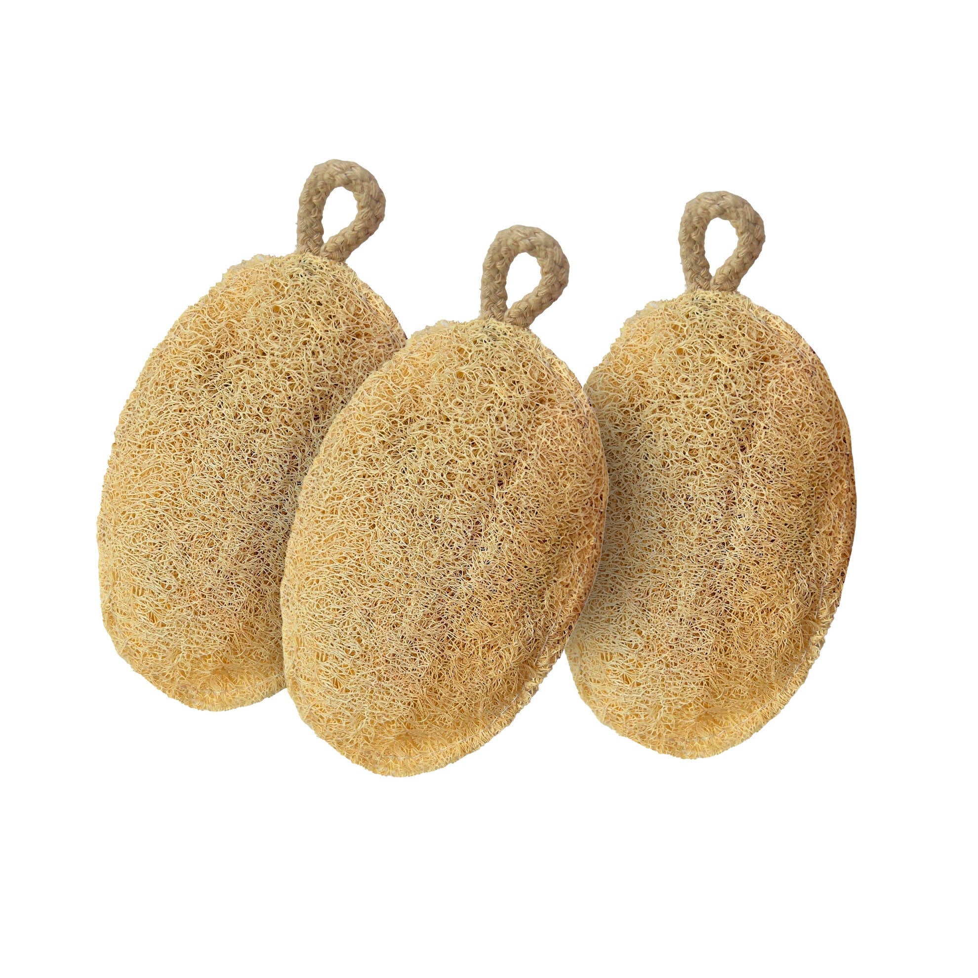 Careberry Earth-Embrace Exfoliating Loofah| Body Sponge Scrubber for Bathing | Bath Luffa Sponges | Grocsy