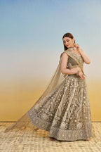 Aastha Fashion Ivory Butterfly Net White Cotton Thread Work And Sequence Work Embroidery Wedding Wear Lehenga Choli | Grocsy