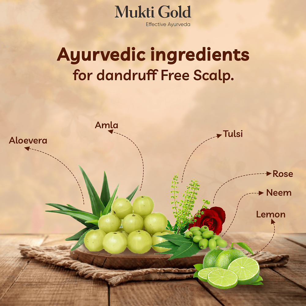 Axiom Mukti Gold Herbal Hair Wash + Conditioner | Grocsy