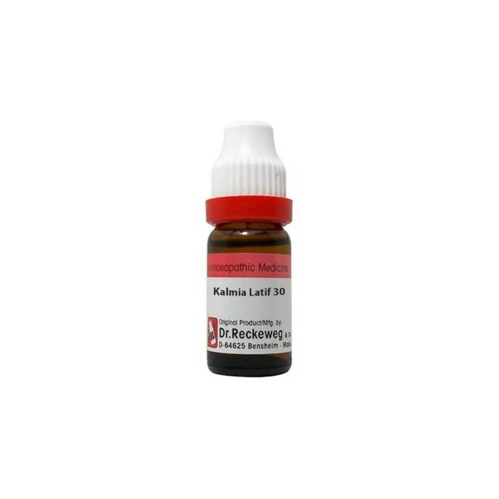 Dr. Reckeweg Kalmia Latif Dilution | Grocsy