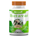 Divya Shree Shatavari Capsules | Grocsy