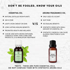 Bella Vita Organic Basil Essential Oil | Grocsy