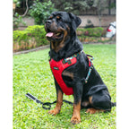 Waggety Adjustable Full Body Dog Harness - Comfortable Fit, Durable Polyester, Red | Grocsy