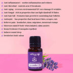 Natural Vibes Lavender Pure Essential Oil | Grocsy