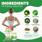 Divya Shree Kidney Detox Capsule & Syrup Combo | Grocsy