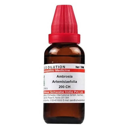 Dr. Willmar Schwabe India Ambrosia Artemisiaefolia Dilution | Grocsy