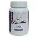 Baidyanath Jhansi Ayurvedant Jamun Guthli Churna | Grocsy