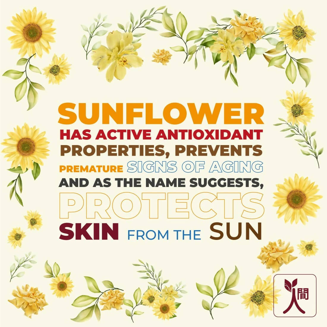 Ningen Sunflower De-Tan Pack | Grocsy