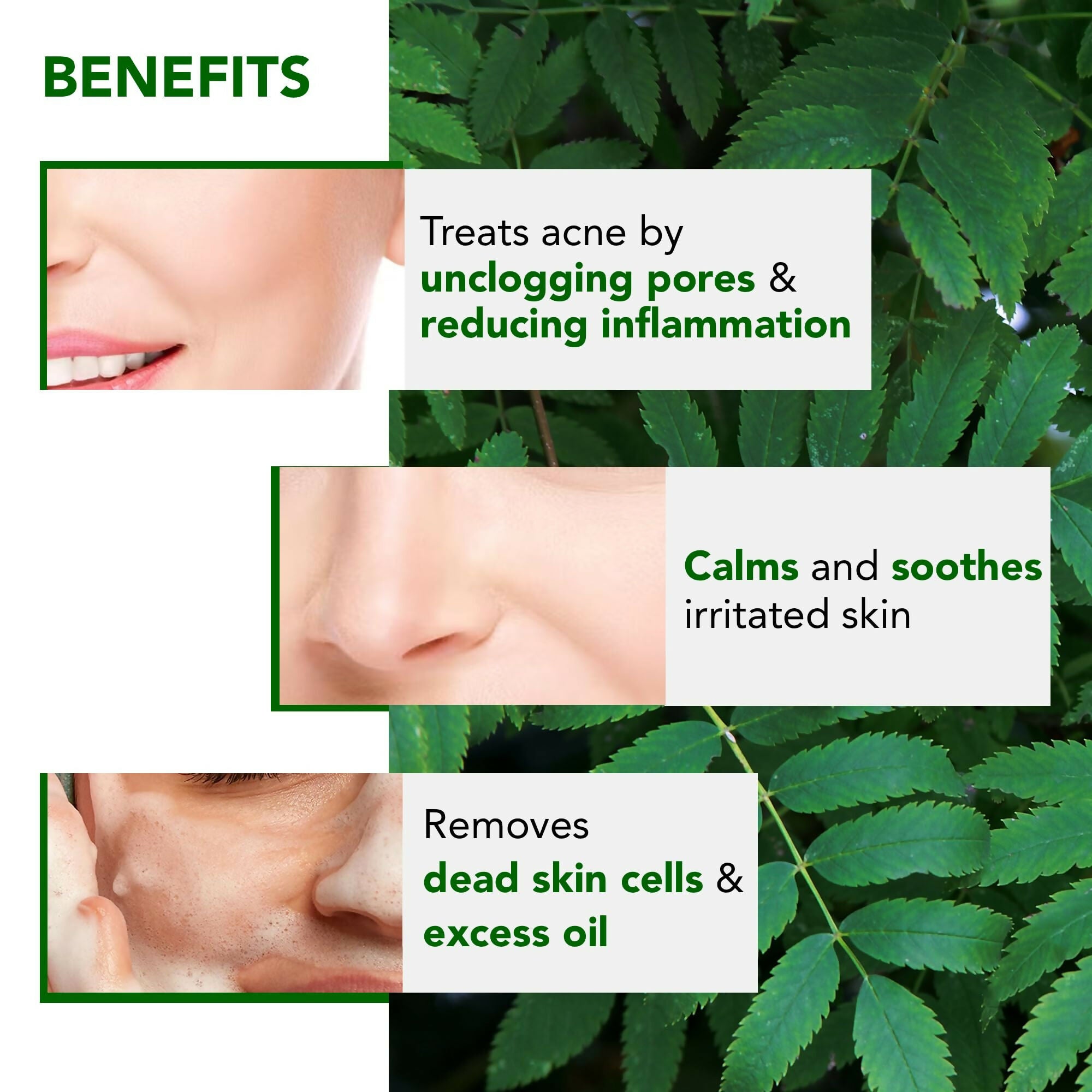 Botanic Hearth Neem, Cica & Salicylic Acid Cleanser Face Wash | Grocsy