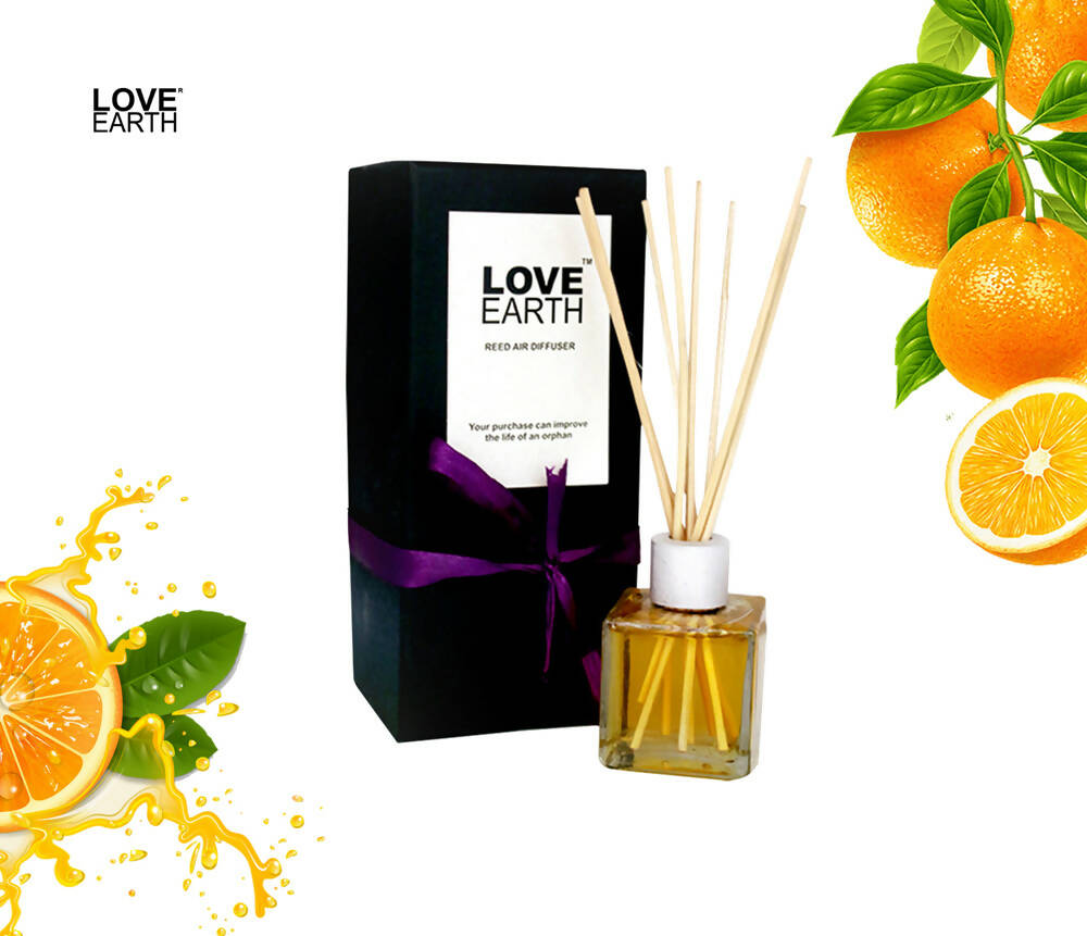 Love Earth Reed Diffuser- Orange | Grocsy
