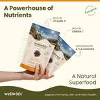 Wellwith Sea Buckthorn Dry Berry | Grocsy