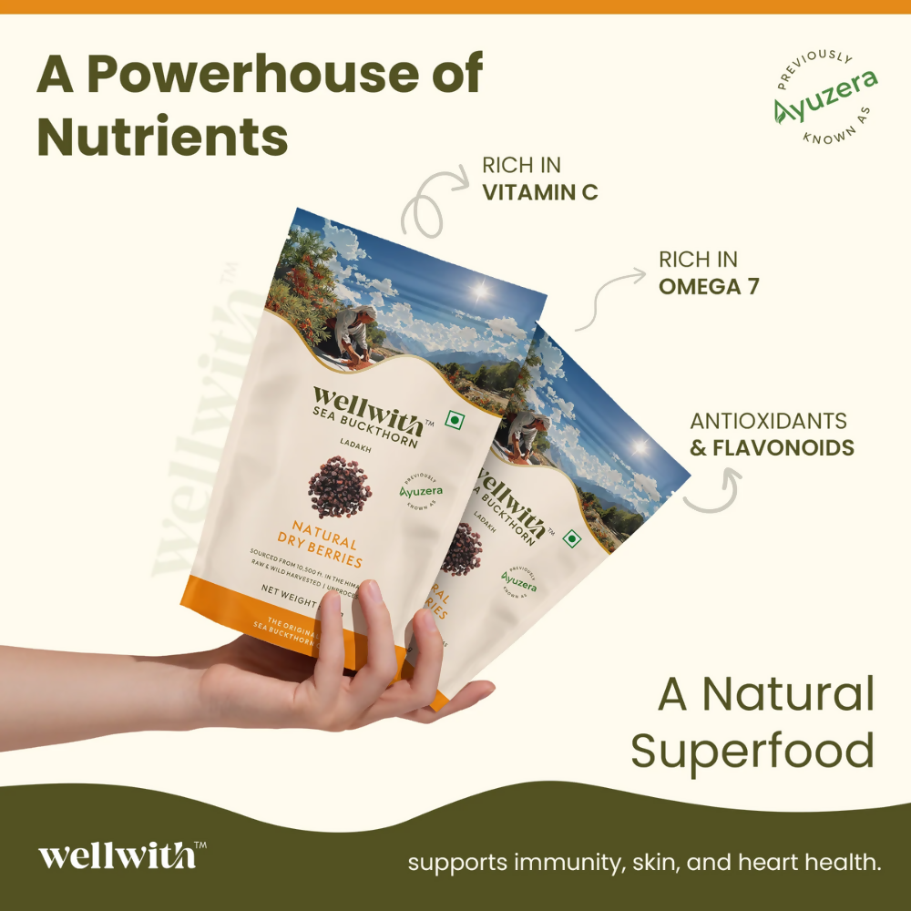 Wellwith Sea Buckthorn Dry Berry | Grocsy