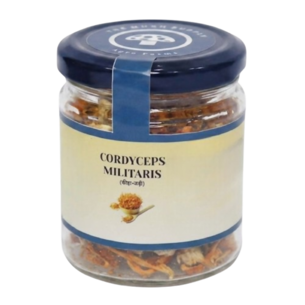 The Mush Supply Agro Farms Cordyceps Dried Fruiting Body | Grocsy