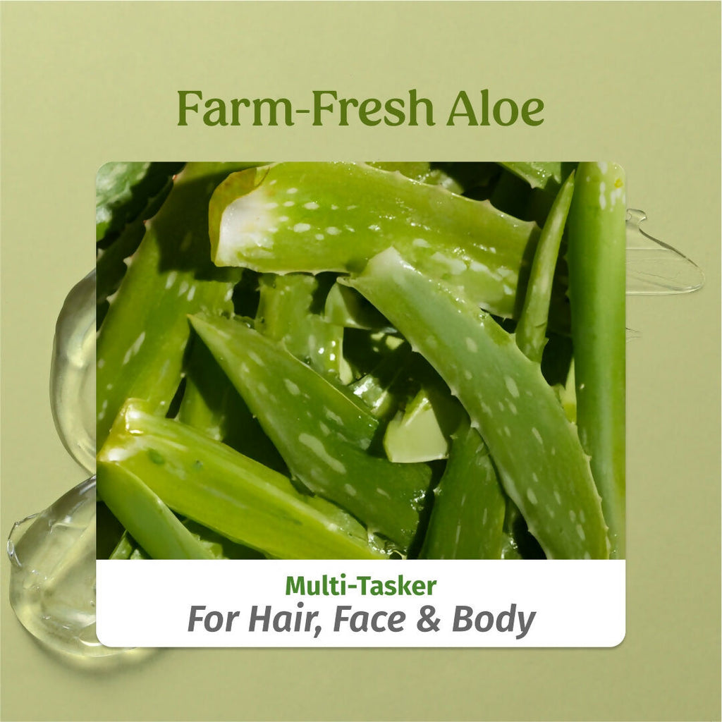 Vilvah Store Aloe Vera Gel (Multi-Purpose Skin & Hair Care) | Grocsy