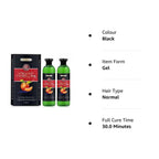 Aravli Beaute Blanc Fruit Vinegar Gel Hair Color - Natural Black | Grocsy