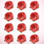 Confect Coral | Edible Sugar Flowers | Grocsy