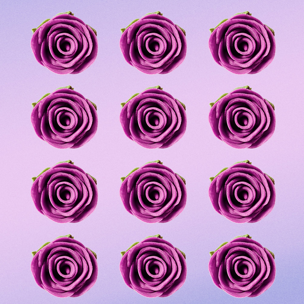 Confect Fuchsia Pink | Edible Sugar Flowers | Grocsy