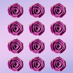 Confect Fuchsia Pink | Edible Sugar Flowers | Grocsy