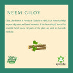 Ayurvedix Neem Giloy Ark | Grocsy