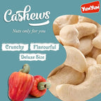 Yum Yum Cashews Pouch | Grocsy