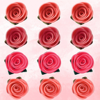 Confect Ombre- 1 | Edible Sugar Roses Topper | Grocsy