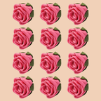 Confect Flamingo Rose Pink | Edible Sugar Roses Topper | Grocsy